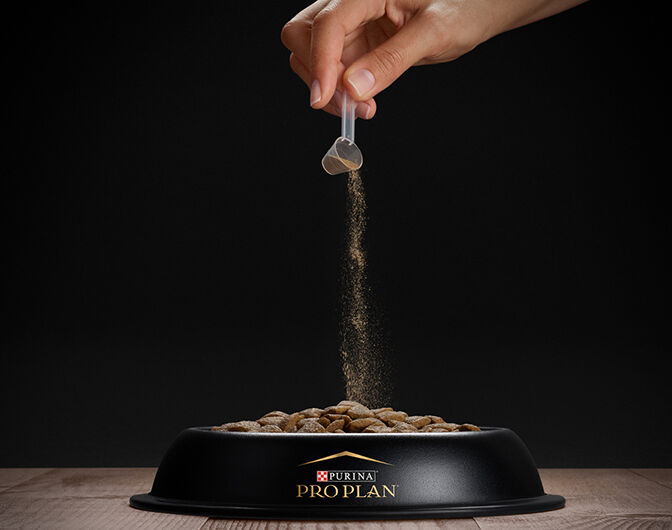 A hand sprinkles powdered supplement from a scoop onto dry dog food in a black Purina Pro Plan bowl